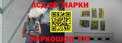крисы Гатчина