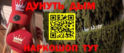 крисы Гатчина