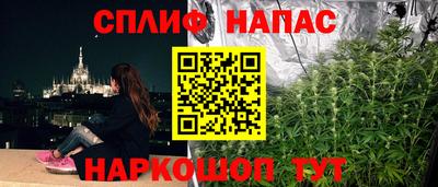 крисы Гатчина