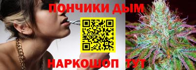 крисы Гатчина