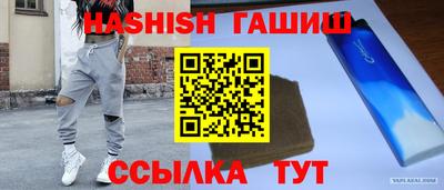 крисы Гатчина