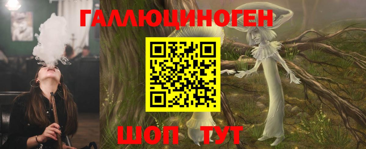ГАШ Людиново